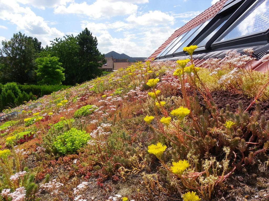 Fleur De Ciel Villa Loos-en-Gohelle Екстериор снимка
