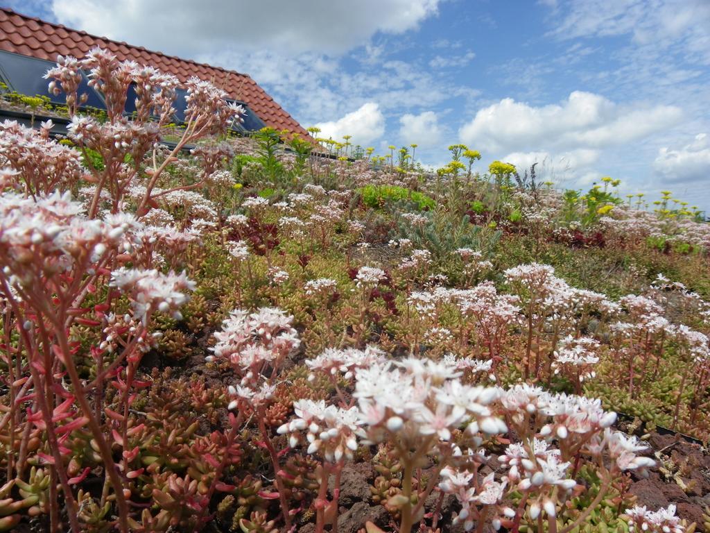 Fleur De Ciel Villa Loos-en-Gohelle Екстериор снимка