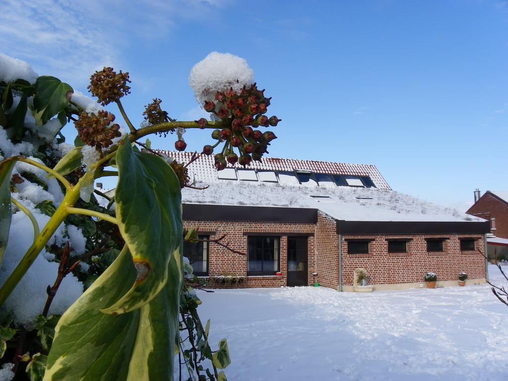 Fleur De Ciel Villa Loos-en-Gohelle Екстериор снимка